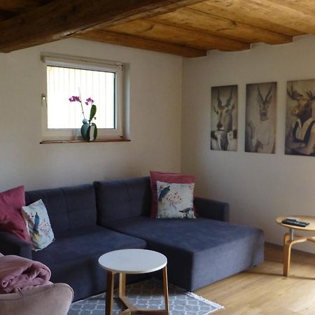 Ferienwohnung Rabennest Bad Ischl Exteriér fotografie